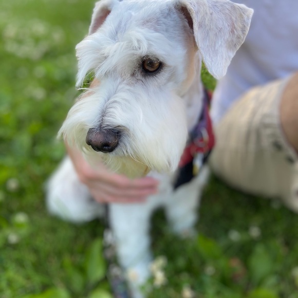 Meet your Posher, Sara - Picture 8 of 12